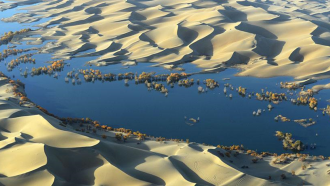 Farm irrigation flushes carbon that plants pull from the air deep underground. Groundwater aquifers beneath deserts appear to hoard hundreds of billions of metric tons of carbon, acquired this way, based on research at China’s Taklamakan Desert (shown).