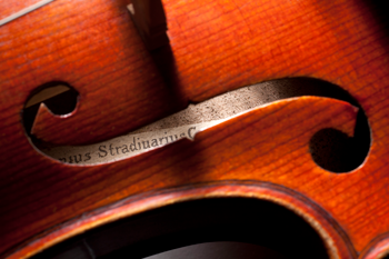 a close up of a violin's sound holes