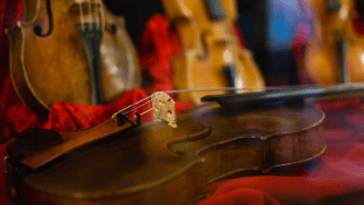 860_violins.png