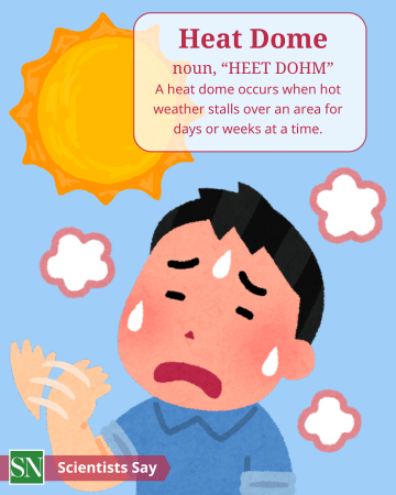 A 'Scientists Say' graphic. Text on the image reads: 'Heat Dome': noun, 'HEET DOHM.' A heat dome occurs when hot weather stalls over an area for days or weeks at a time. The Illustration shows a red-faced cartoon person sweating and fanning themselves under a bright sun. The Science News Explores logo is in the bottom left of the image.