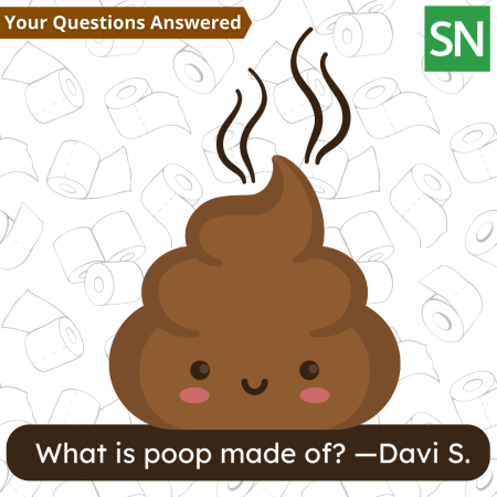 A "Your Questions Answered" graphic from SN featuring a cute cartoon poop emoji with a smiley face, rosy cheeks, and steam lines rising from the top. Toilet paper rolls are scattered across the background. Text at the bottom reads: "What is poop made of? —Davi S."