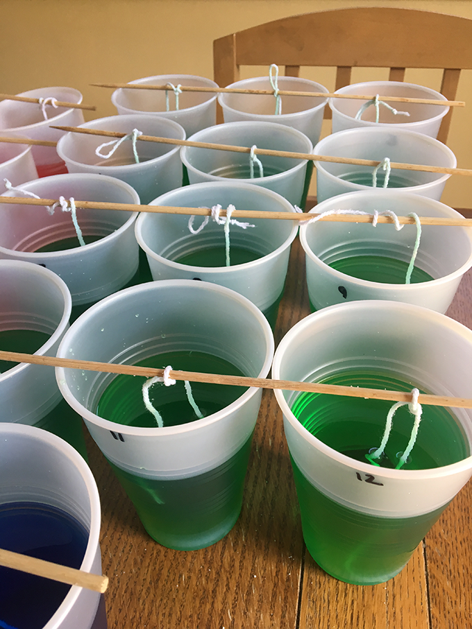 strings hanging into cups with sugar solution