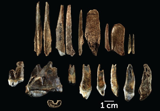 This cave hosted the oldest known human remains in Europe