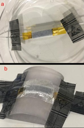 a photo of the supercapacitor