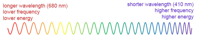 visible wavelengths of light