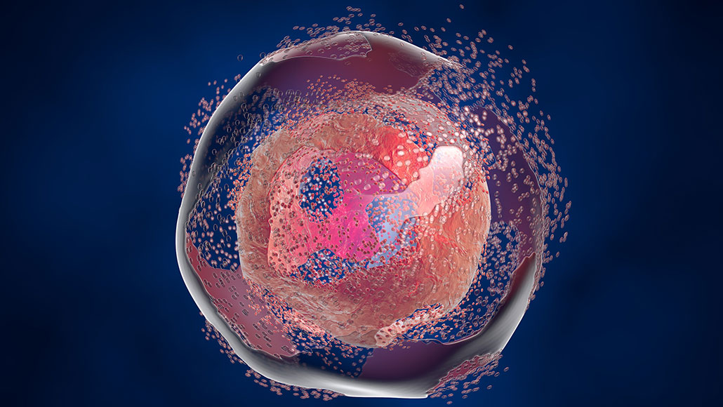 an artists illustration of a cell dying