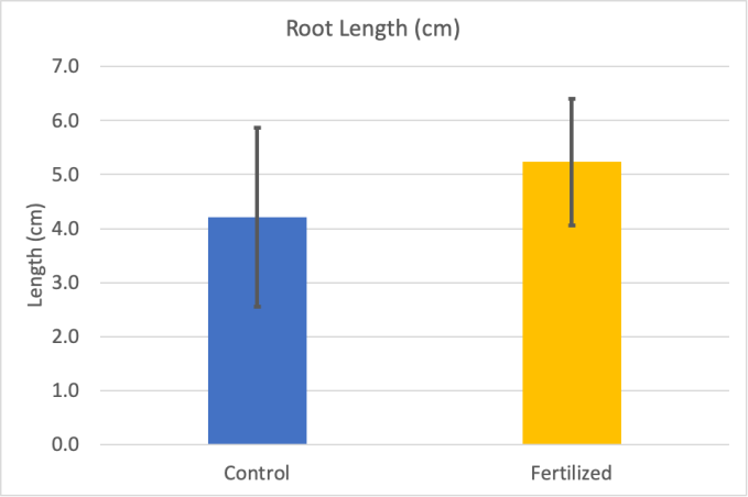 a graph showing root length for fertilized and control plants