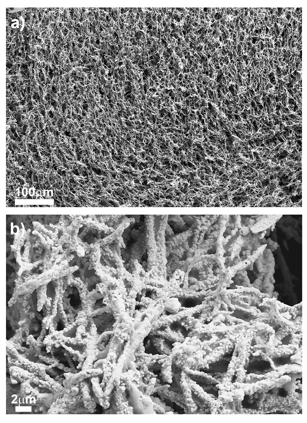 microscopic images of copper foam