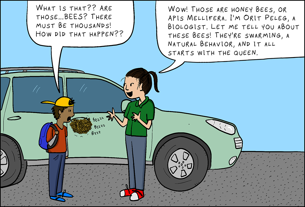 Kid: Wow! That’s super interesting…but can you help me get rid of them? My mom needs to drive us home.  Orit Peleg: Why, yes I can! I’m not just a biologist; I’m an interdisciplinary biologist. I have lots of talents. Let me just put in a call to my colleagues at the University of Colorado, Boulder. But are you sure your mom doesn’t want to see this first? It’s kind of special.