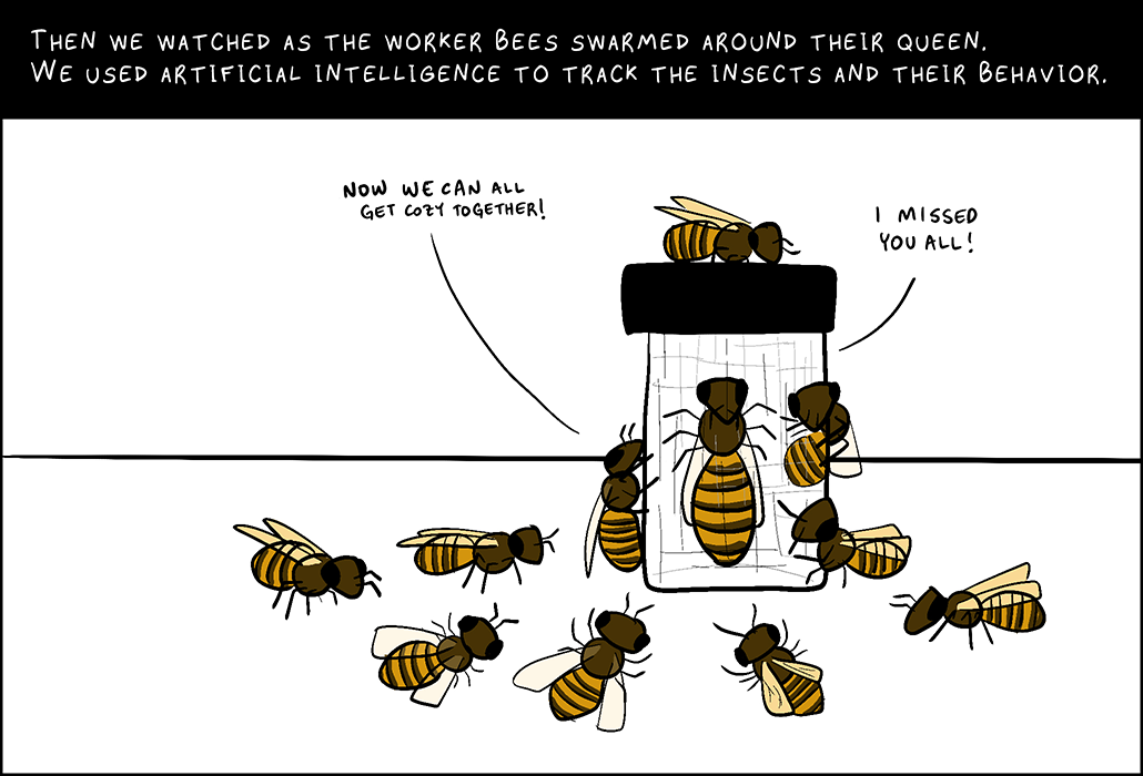 Panel 4: Then we watched as the worker bees swarmed around their queen. We used artificial intelligence to track the insects and their behavior. Worker bee: Now we can all get cozy together. Queen bee: I missed you all.