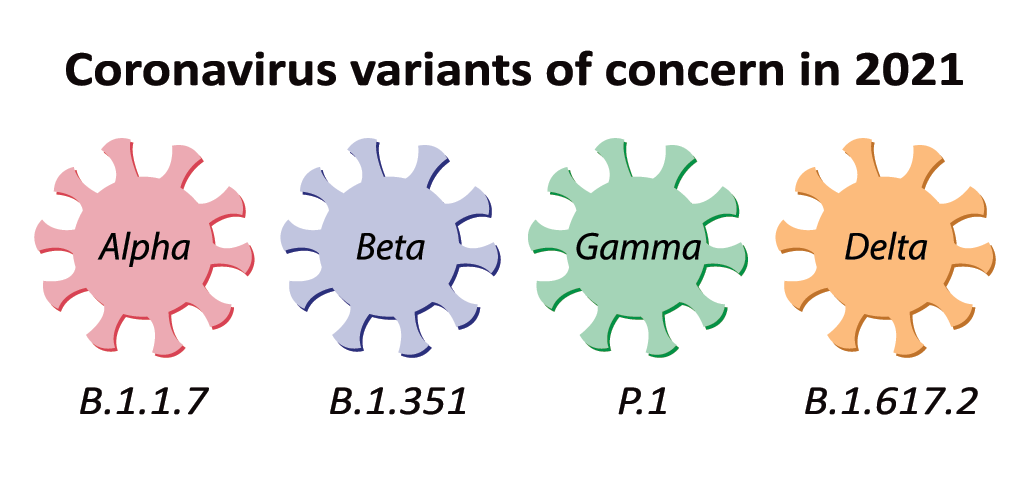 Explainer: Virus variants and strains