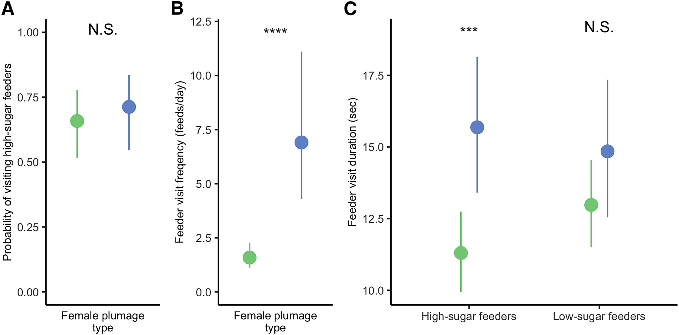 a chart logging blue and green humminbirds' visits to two feeders