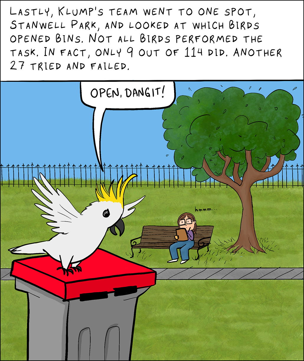 Text: Lastly, Klump’s team went to one spot, Stanwell Park, and looked at which birds opened bins. Not all birds performed the task. In fact, only 9 out of 114 did. Another 27 tried and failed. Image: A researcher sits in a park on a bench under a tree. She is taking notes and watching a cockatoo attempt to open a trashcan. The bird has not opened the lid. Bird: Open, dangit!