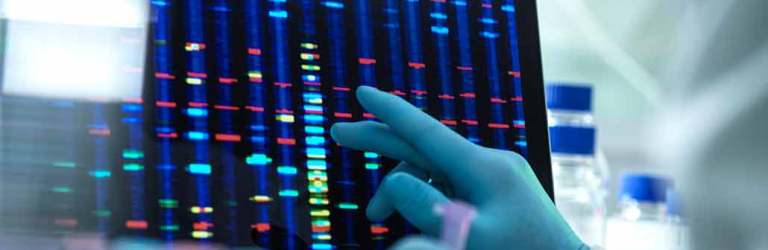 DNA sequence on a monitor