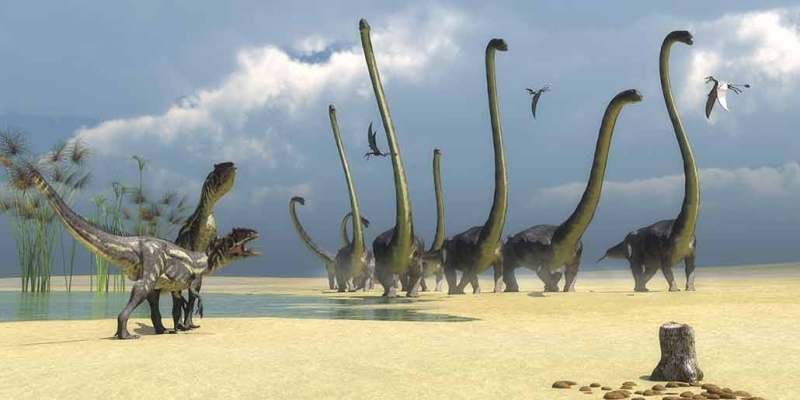 a herd of sauropods, two hungry carnivores and some flying reptiles mill around on sand