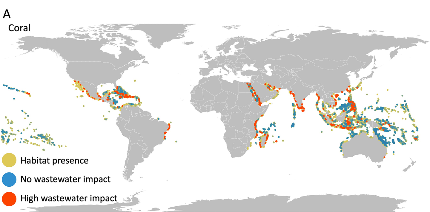 two global maps with dots showing areas where coral reefs and seagrass may be threatened because of nitrogen