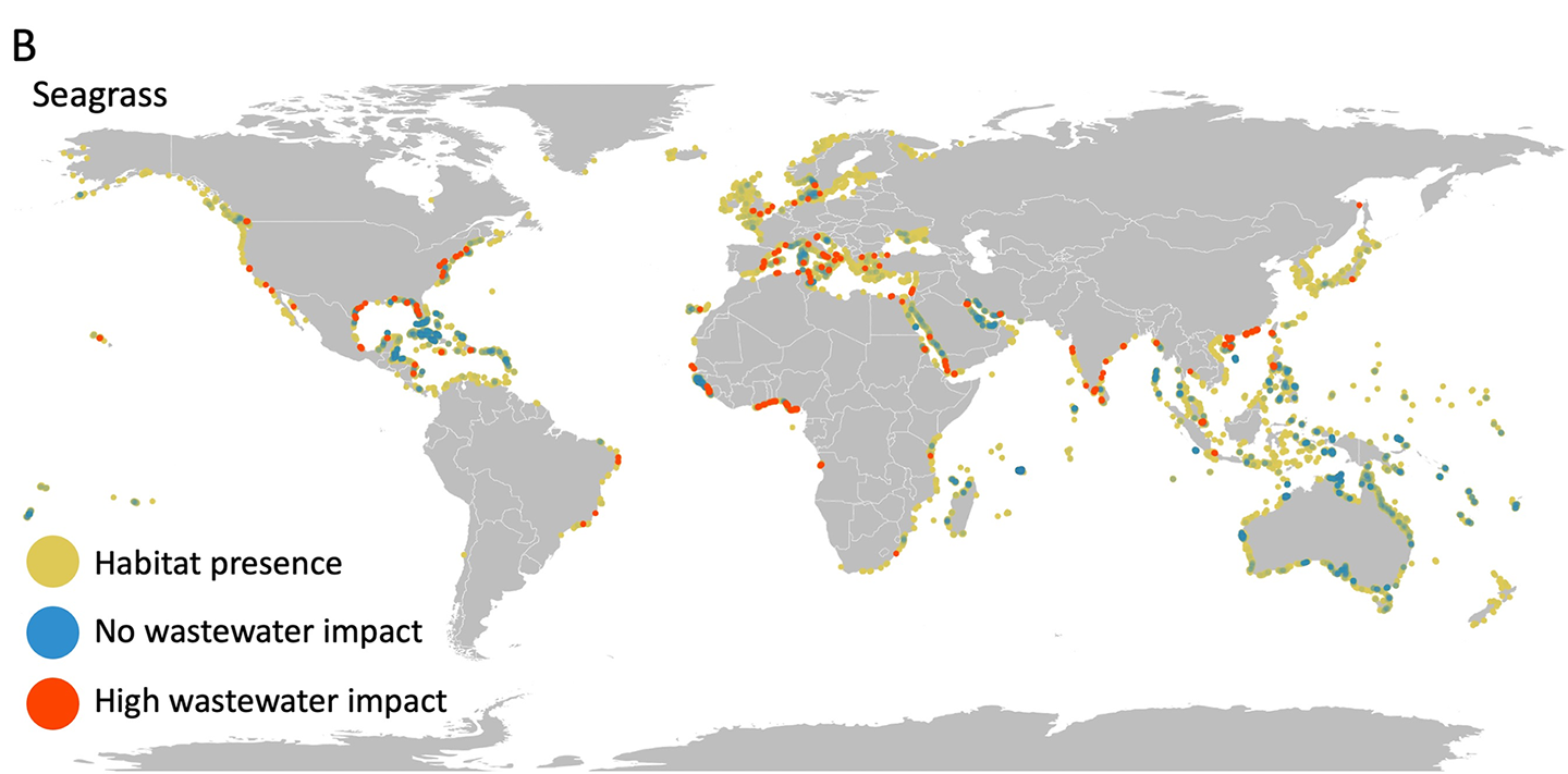 two global maps with dots showing areas where coral reefs and seagrass may be threatened because of nitrogen