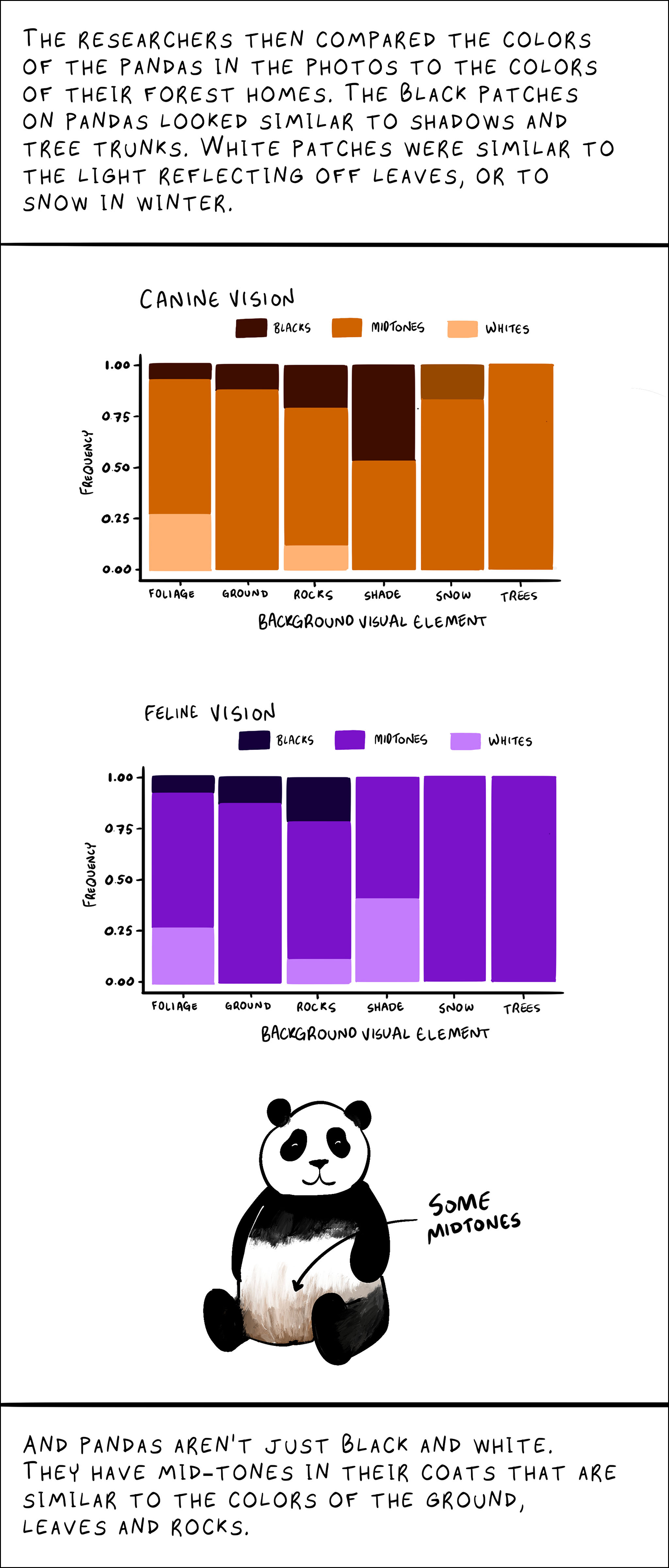 Text: The researchers then compared the colors of the pandas in the photos to the colors of their forest homes. The black patches on pandas looked similar to shadows and tree trunks. White patches were similar to the light reflecting off leaves, or to snow in winter.  Canine vision graph Feline vision graph  And pandas aren’t just black and white. They have mid-tones in their coats that are similar to the colors of the ground, leaves and rocks. Image: Two graphs showing canine and feline vision, below a panda is sitting. An arrow pointing to the panda's stomach reads "Some midtones"