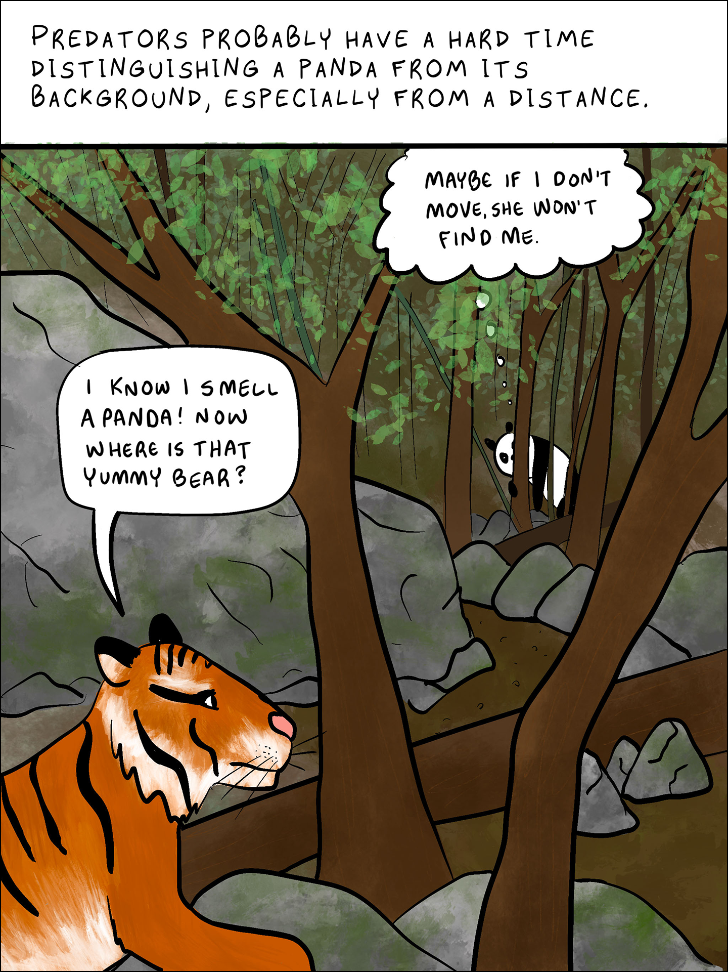 Text: Predators probably have a hard time distinguishing a panda from its background, especially from a distance.   Tiger: I can smell panda! Now where is that yummy bear?  Panda: Maybe if I don’t move, she won’t it won’t find me. Image: A panda hides behind some trees thinking "Maybe if I don't move, she won't find me." A tiger to the front of the picture is thinking "I know I smell a panda! Now where is that yummy bear?"