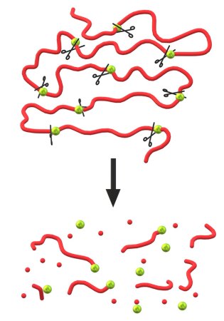 a diagram showing a long red string with green dots, scissors at each dot symbolize "breaking" points, an arrow down shows the red line broken into many pieces