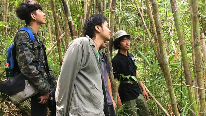 Four young Thai men in a bamboo jungle looking for "bambootula"