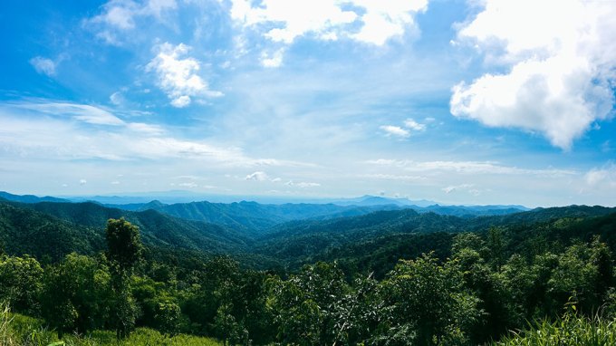 a photo of a bamboo forest in Mae Tho, Mueang Tak district, Tak province. The photo shows the forest, mountains in the distance, and a blue sky with fluffy white clouds.