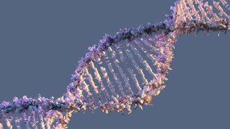 an illustration of a twisted-ladder, or double-helix