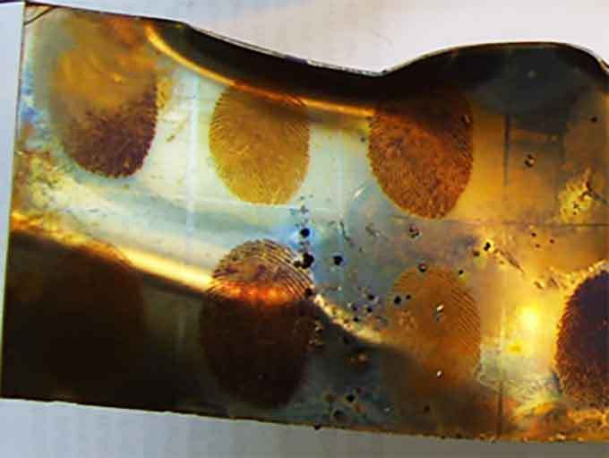 Forensic scientists are gaining an edge on crime