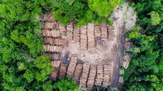 An aerial view of a very large clearing in a leafy green forest. The clearing is full of stacks of logs and felled trees.