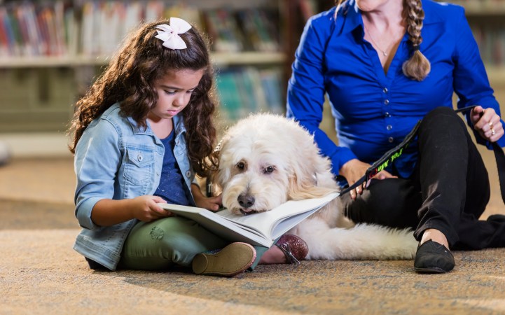 A little 6 year old Hispanic girl reading in the library to a therapy dog. The goldendoodle is listening patiently. The trainer, a mature woman in her 50s, is sitting on the floor holding the dog's leash.