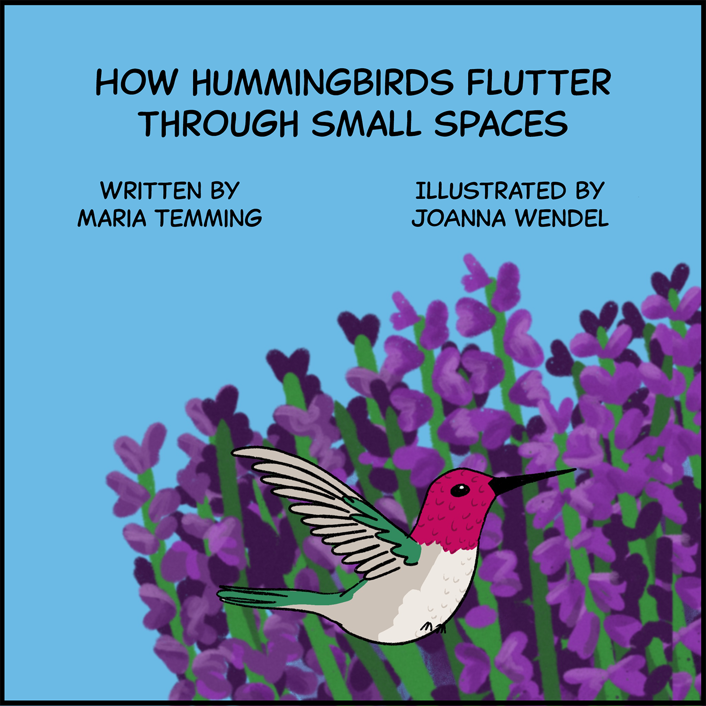 How hummingbirds flutter through small spaces. Written by Maria Temming. Illustrated by JoAnna Wendel. Image: A hummingbird with a magenta head, white body and some green on its wings and tail flies past a field of purple lavender flowers under a blue sky.