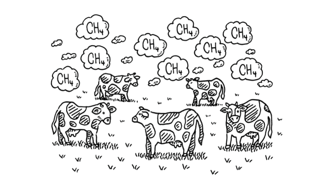 a cartoon shows a field of cows with puffs of clouds labeled (CH4) floating above their heads