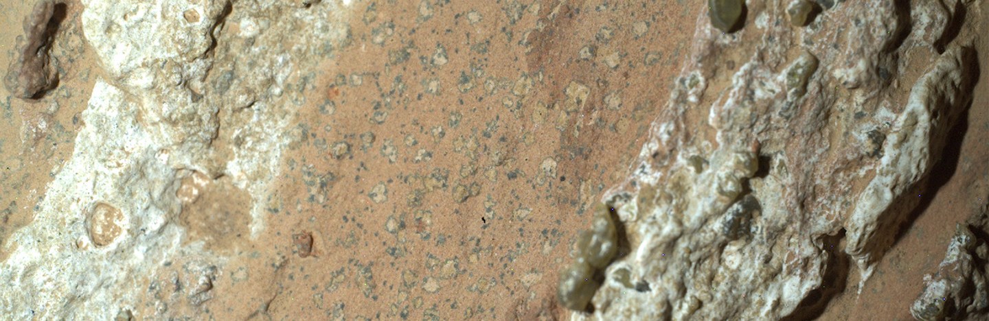 An image of a rock on Mars taken by the NASA rover Perseverance. Rocky white stripes flank a clay-colored area that is speckled with dark spots.