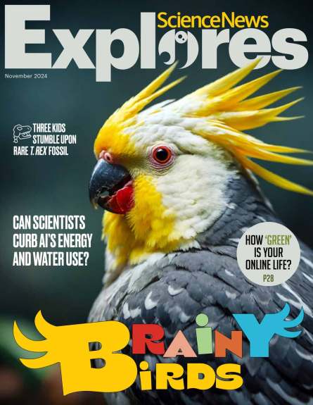 the cover of the November 2024 issue of Science News Explores