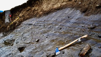An exposed patch of gray, layered glacier ice is exposed in a brown, earthen headwall.