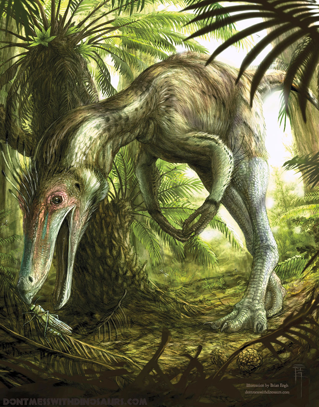 An illustration shows an Arkansaurus reaching down with its beak to snap up a grasshopper. This ostrich-like dinosaur is walking on two legs, surrounded by trees.