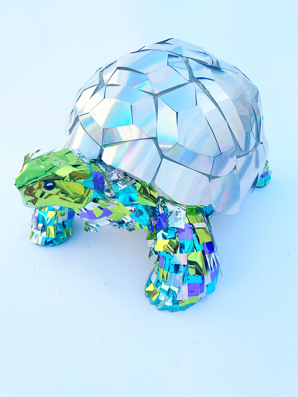 a Desert Tortoise from the "Special Species" exhibit