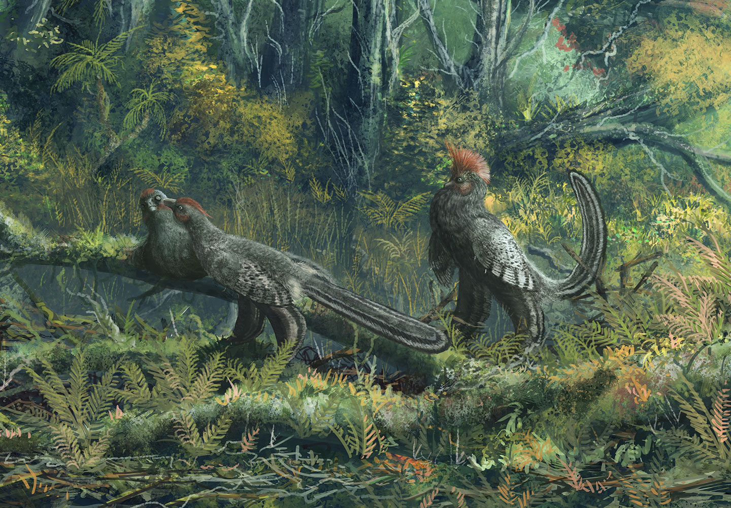 an illustration of colored feathered dinosaurs in a lush green setting
