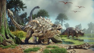 an illustration of sevearl dinosaurs and ancient reptiles