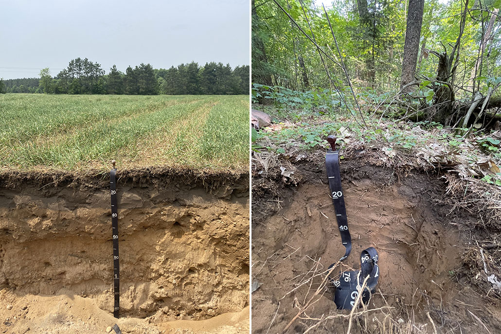 two differnt pits dug into soil, on the left soil that has been farmed, and on the right soil that has never been farmed