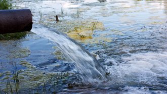 a jet of water flows from a water treatment pipe into a body of water with visible algae