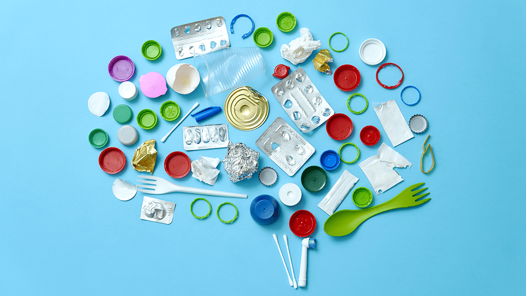 various small bits of plastic arranged in the shape of a human brain
