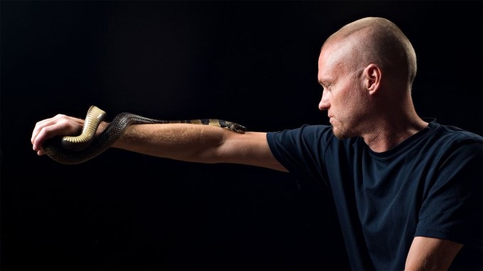 Tim Friede stands in the light with a snake on his arm; his blood was used to make an antivenom cocktail