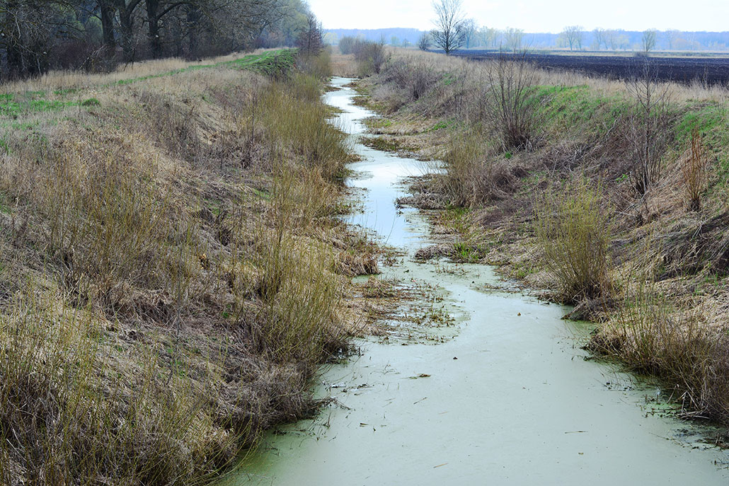 a photo of a waterway with very low water
