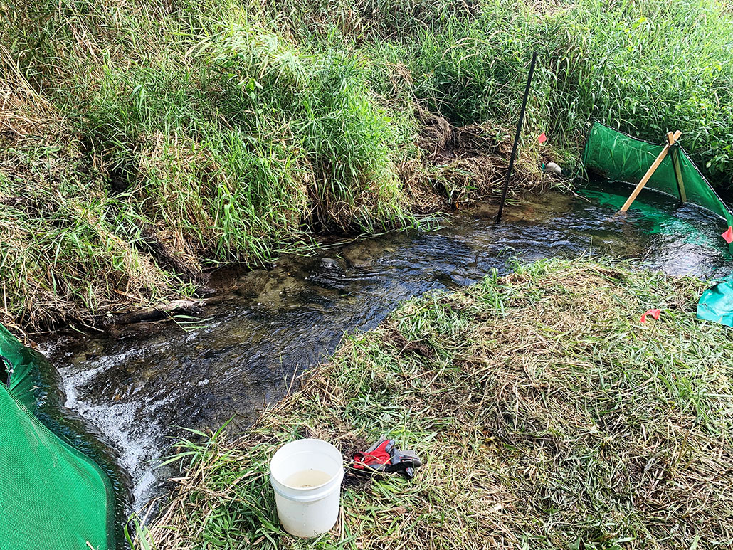 part of a creek before habitat restoration