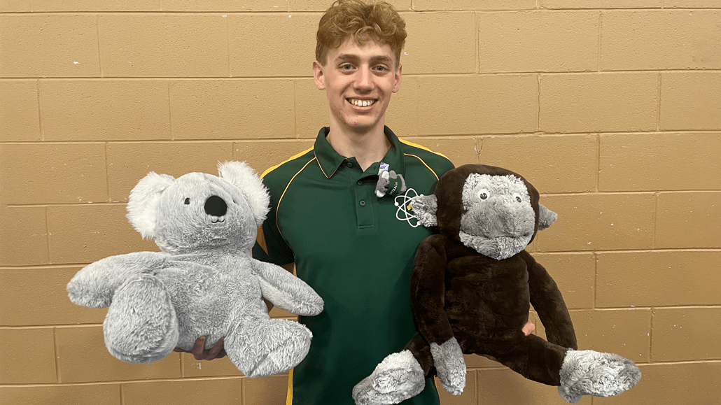 Tim holding a koala and a chimp stuffie and smiling