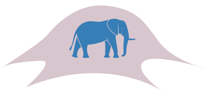 An illustration shows a blob-shaped cell with an elephant within.