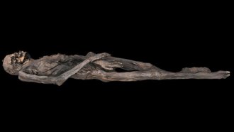 3D model of a Pazyryk mummy