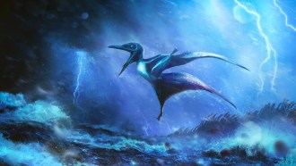 An artist's illustration of a young pterosaur struggling to fly in violent winds.