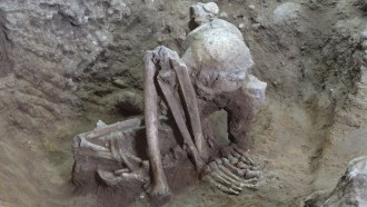 A folded up skeleton with what looks like the knees near the skull sits on dirt. Researchers say it's an example of the oldest mummies every found.